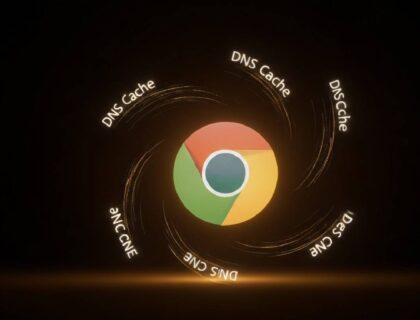 chrome.__net-internals_dns history delete